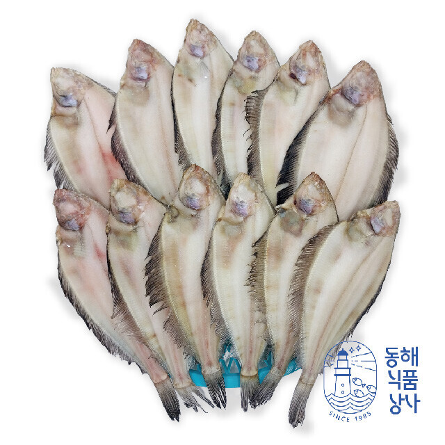 동해식품상사,[동해식품상사] 국산 손질가자미 1kg(9~11마리)또는(5~7마리)